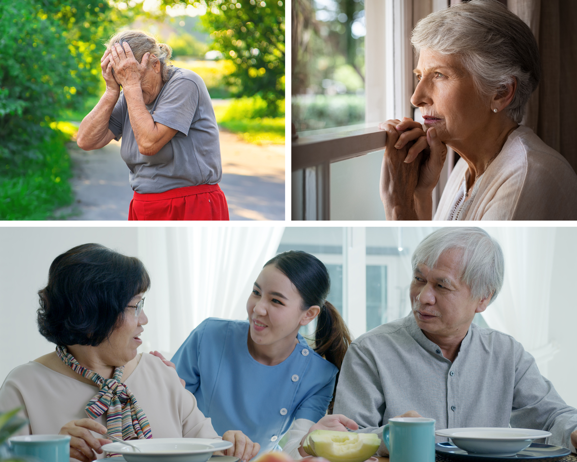 Learn about dementia for the sake of your loved one