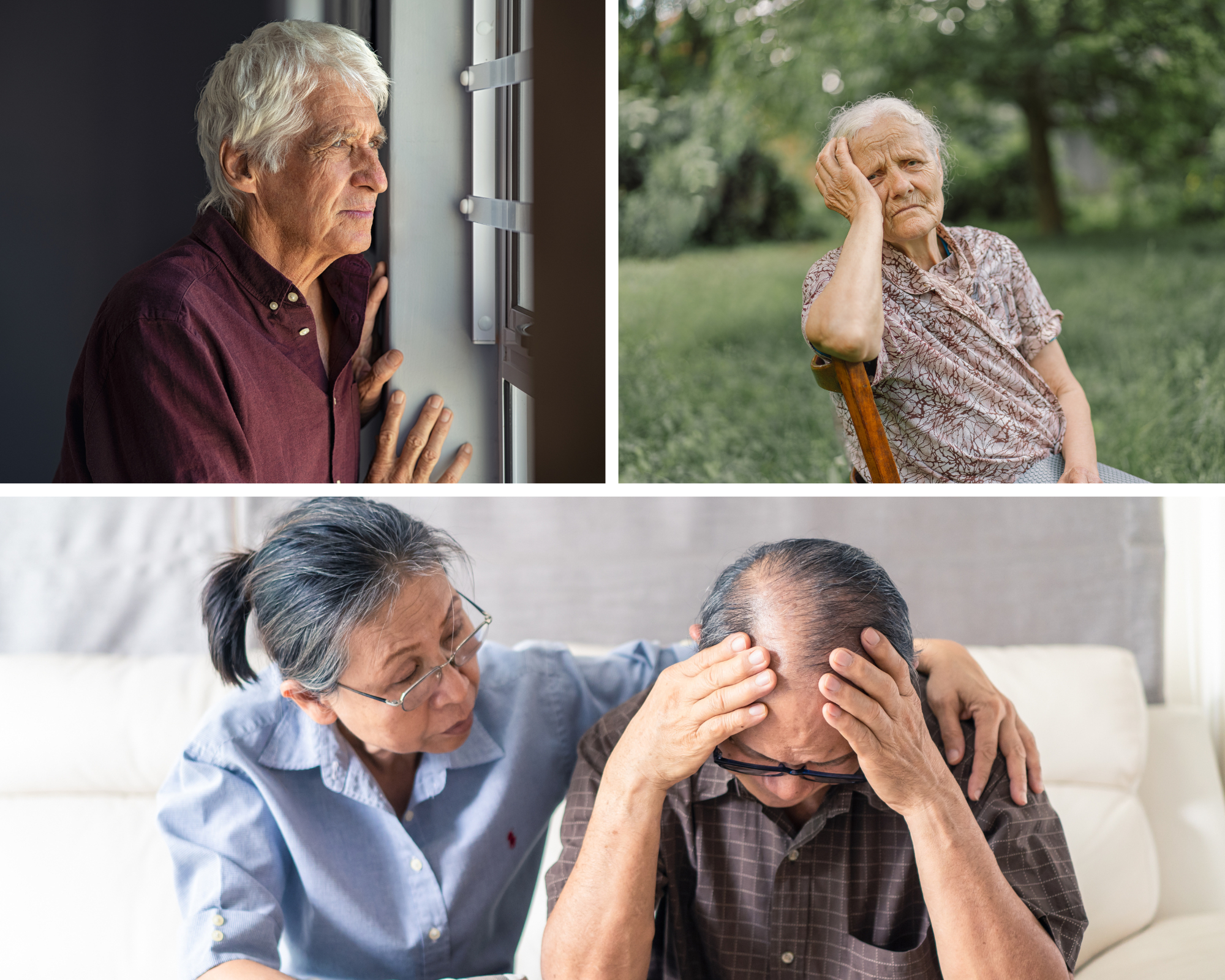What is elder abuse?
