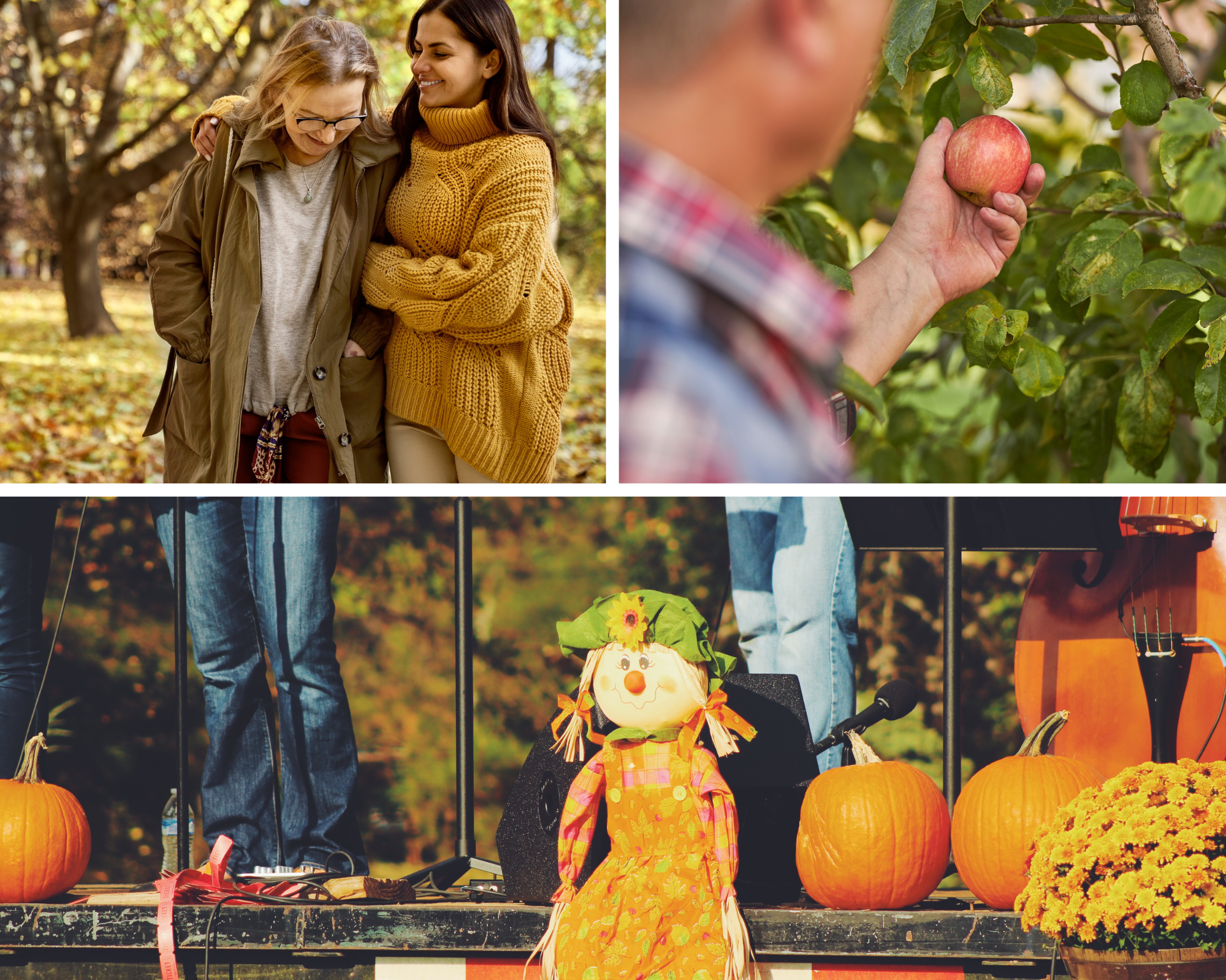Enjoy these Fall Events in the Chicago Area for Seniors
